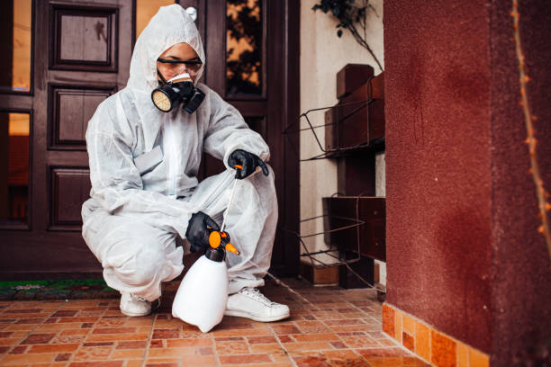 Reliable Wasp Removal contractor in Hereford, TX by Show Me Pest Control